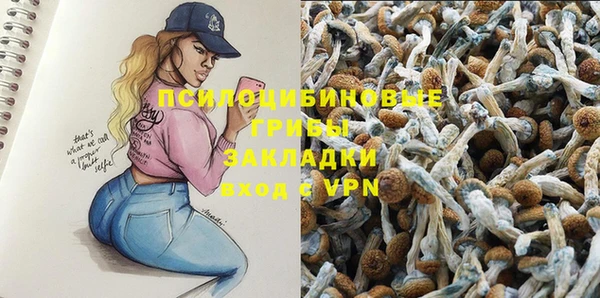 ешки Алексеевка